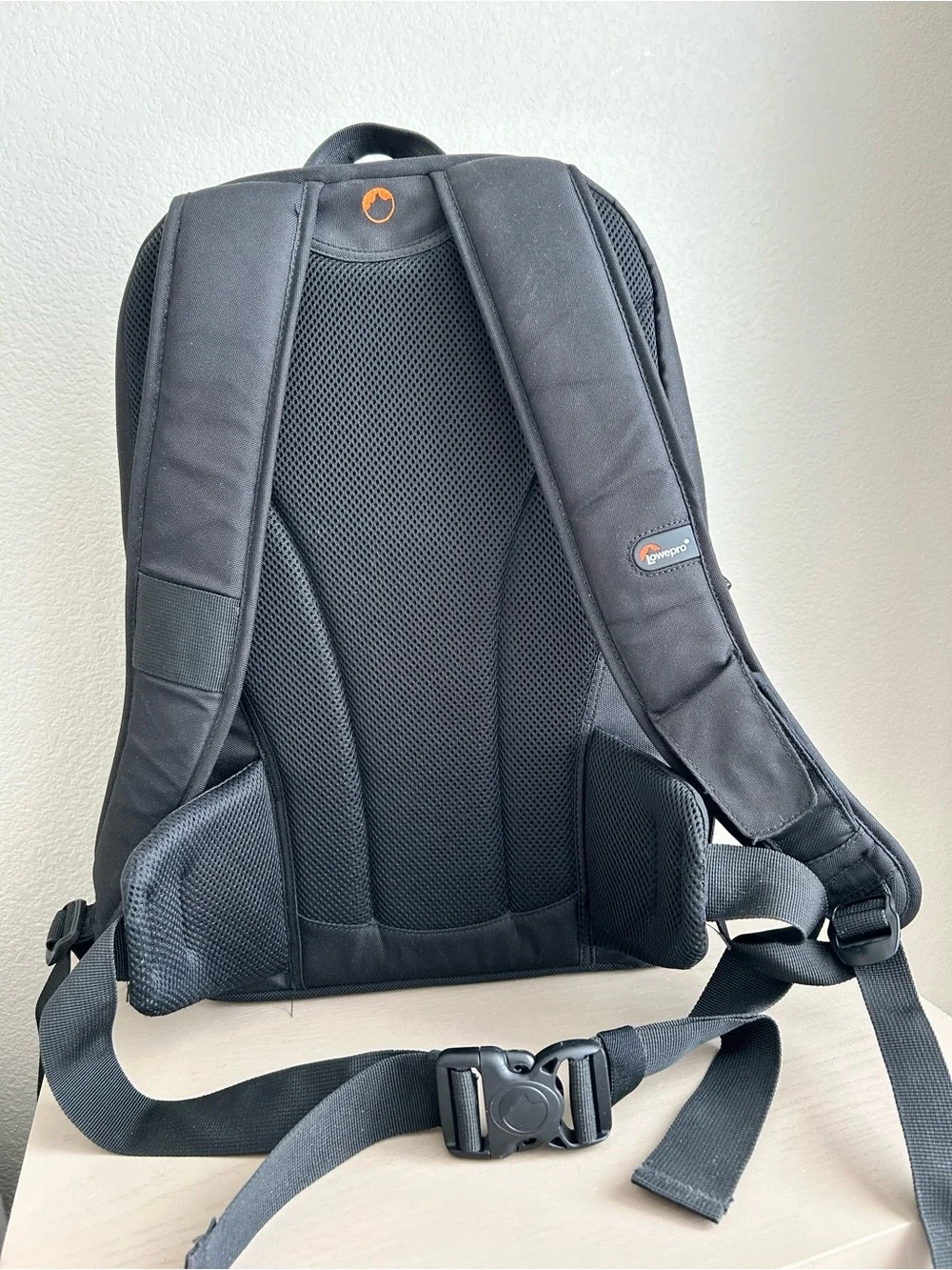 Lowepro Camera Backpack – Black